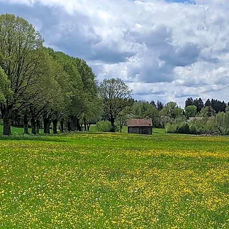 فندق Germania